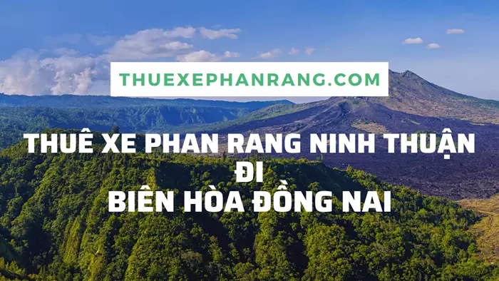 Thuê xe ô tô Biên Hòa: Cẩm nang lựa chọn dịch vụ uy tín