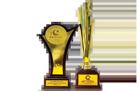 Giấy chứng nhận Top Thương hiệu Việt Nam 2016 cho đơn vị hỗ trợ nhận bằng lái xe ô tô