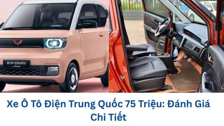 Xe Ô Tô Điện Trung Quốc 75 Triệu: Đánh Giá Chi Tiết xe-o-to-dien-trung-quoc-75-trieu