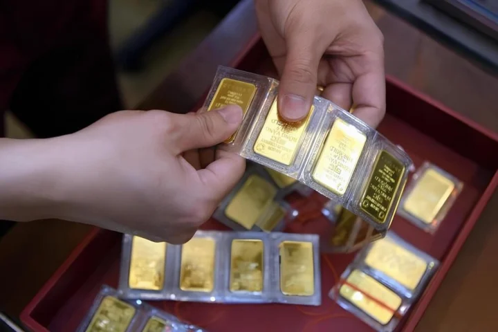 10-cay-vang-bao-nhieu-tien-nam-2026-cap-nhat-gia-moi-nhat_158
