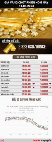 Biểu đồ biến động giá vàng trong nước và thế giới