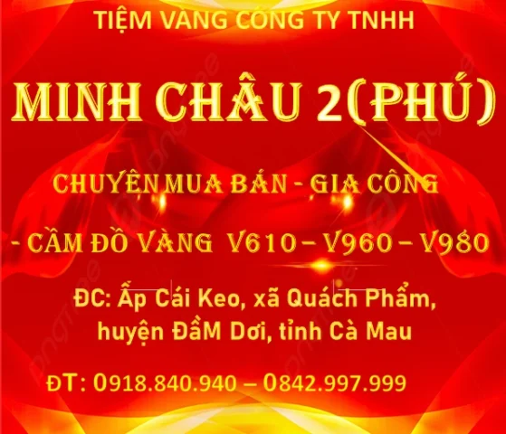 Biểu đồ biến động giá vàng