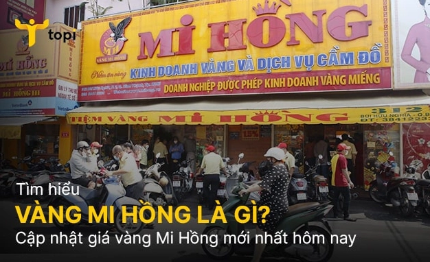 Biểu đồ giá vàng cập nhật tại Mi Hồng Tiệm Vàng