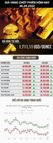 Biểu đồ giá vàng hôm nay