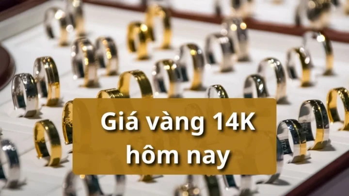 Biểu đồ phân tích giá vàng 14K