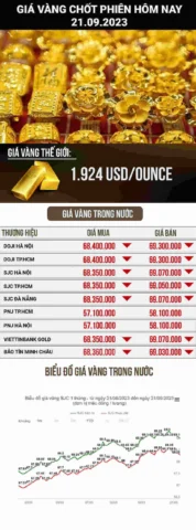 Biểu đồ phân tích giá vàng Kim Chung