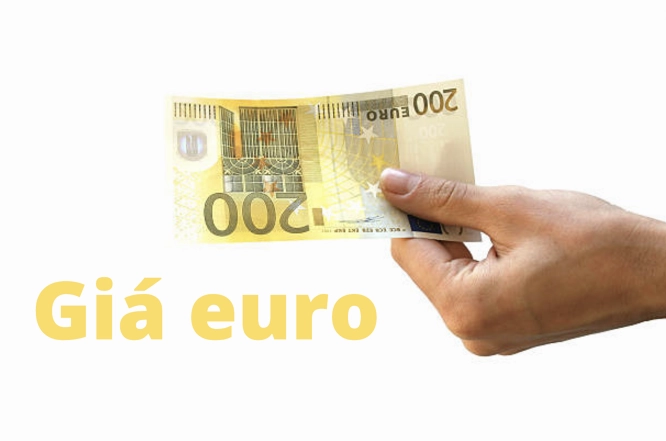 Biểu đồ tỷ giá Euro biến động