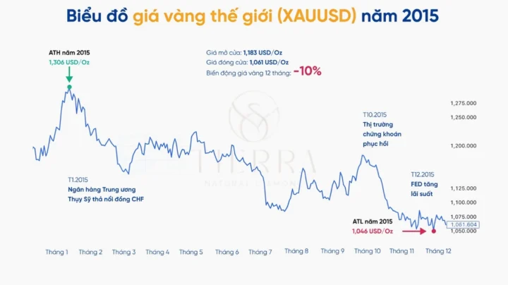 gia-vang-2015-bien-ong-lich-su-va-du-bao-2026_956