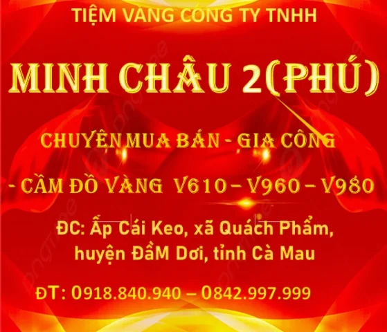 Giá vàng Cà Mau hôm nay 2026: Cập nhật & Dự báo chi tiết gia-vang-ca-mau-hom-nay-2026-cap-nhat-du-bao-chi-tiet_635