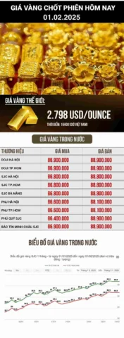 Lời khuyên đầu tư vàng Hải Phòng