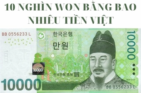 20000 Won to VND: Tỷ Giá Mới Nhất 2026 & Cách Đổi Minh họa đổi tiền Won sang VND