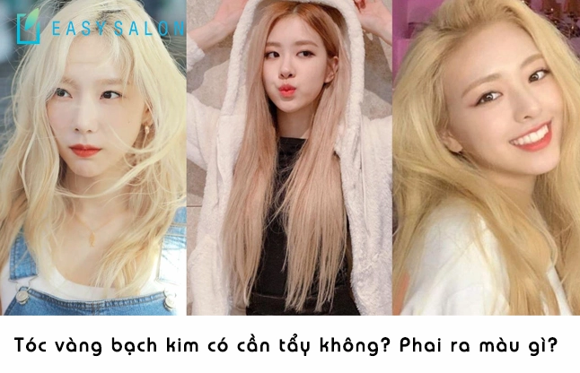 Vàng Bạch Kim: Khám Phá Sự Sang Trọng và Giá Trị Bền Vững 2026 Sự khác biệt giữa vàng bạch kim và vàng trắng