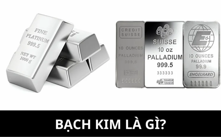 Tìm hiểu về bạch kim là gì