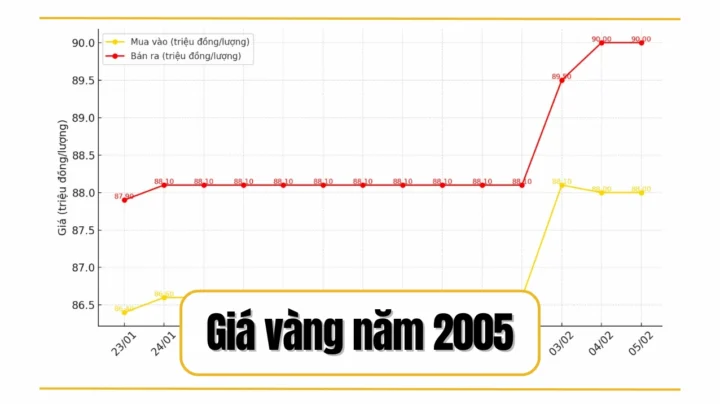 Tổng quan thị trường vàng năm 2005 tại Việt Nam