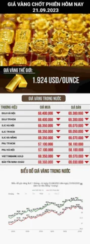 Giá Vàng Kim Liên Thanh Hóa Hôm Nay 2026: Cập Nhật Mới Nhất Trang sức vàng tại Kim Liên