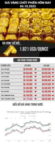 Giá Vàng Mão Thiệt Thái Bình Hôm Nay: Cập Nhật & Dự Báo 2026 Trang sức vàng tại tiệm vàng