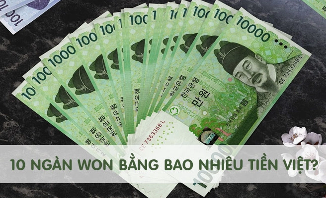 10000 Won Bằng Bao Nhiêu Tiền Việt (2026): Cập Nhật Mới Nhất Tỷ giá Won Hàn Quốc sang Việt Nam Đồng