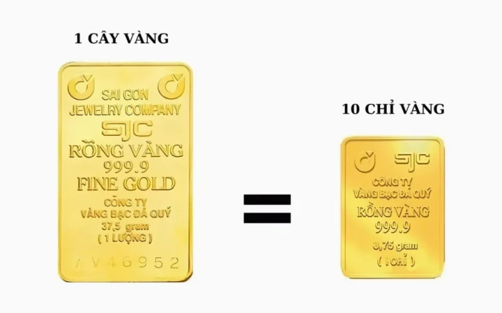 1-cay-vang-gia-bao-nhieu-cap-nhat-moi-nhat-2026_534
