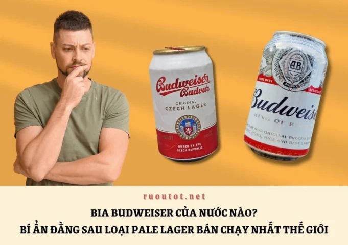 Bia Budweiser của nước nào? Hé lộ nguồn gốc và câu chuyện thú vị Bia Budweiser nổi tiếng thế giới