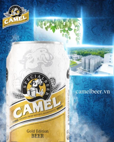 Bia Camel - Hương vị truyền thống