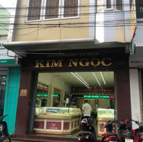 Giá Vàng Kim Ngọc 2026: Dự báo, Phân tích và Lời khuyên Đầu tư Biểu đồ giá vàng biến động