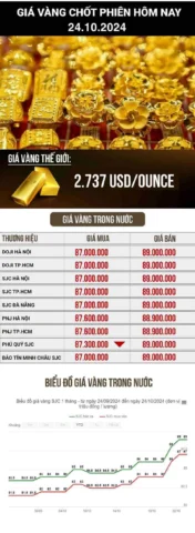 Vàng 24K Giá Vàng Hôm Nay 2026: Dự báo và Phân tích Biểu đồ giá vàng SJC hôm nay