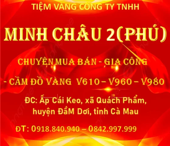 Vàng Cà Mau 2026: Dự báo, Phân tích và Lời khuyên Đầu tư Biểu đồ giá vàng tại Cà Mau