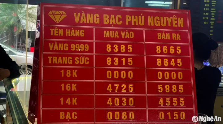 Giá vàng 9999 hôm nay tại Vinh: Cập nhật 2026 Biểu đồ giá vàng thế giới