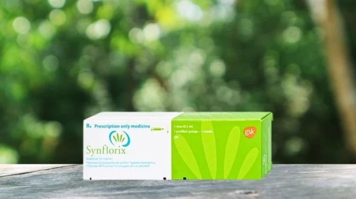 Synflorix Của Nước Nào? Phân Tích Chi Tiết Vắc Xin Phòng Viêm Phổi Biểu đồ hiệu quả vắc xin Synflorix
