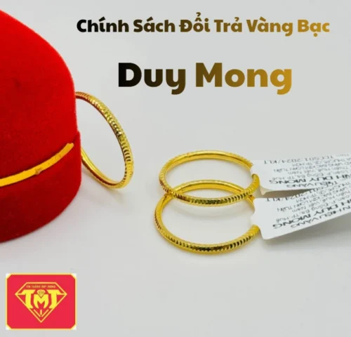 Biểu đồ phân tích danh mục đầu tư có vàng