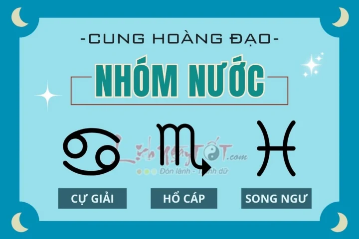 Cung Nước Gồm Cung Nào? Khám Phá Bí Ẩn Nhóm Nguyên Tố Nước 2026 Biểu đồ tương hợp cung nước với các nguyên tố