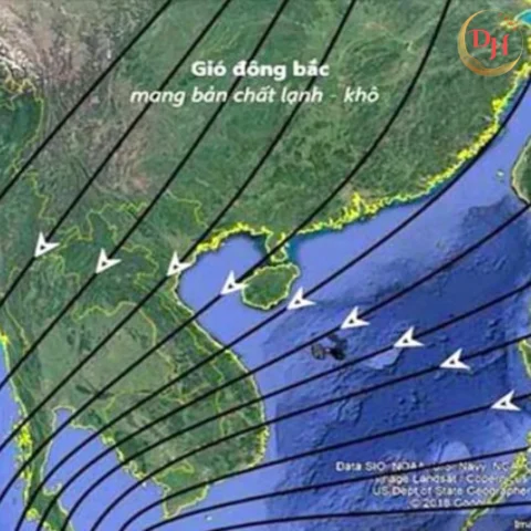 gio-mua-ong-bac-hoat-ong-manh-me-nhat-o-khu-vuc-nao-cua-nuoc_768