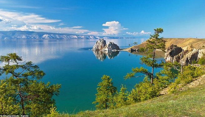 Hải cẩu Baikal - loài sinh vật đặc hữu