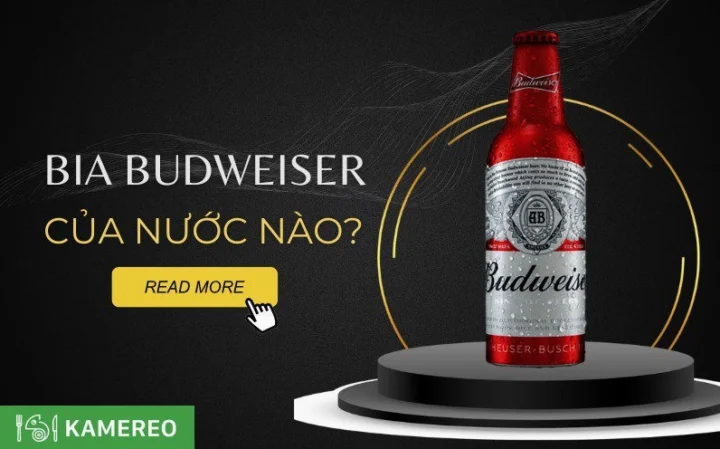 Bia Budweiser của nước nào? Hé lộ nguồn gốc và câu chuyện thú vị Hai loại bia Budweiser