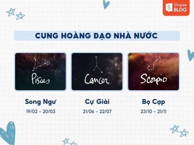 Cung Nước Gồm Cung Nào? Khám Phá Bí Ẩn Nhóm Nguyên Tố Nước 2026 Hình ảnh minh họa nhóm cung nước