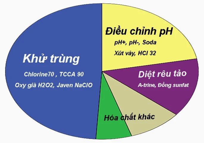 Câu đố kiến thức: Chất nào khử trùng nước bể bơi? Hóa chất khử trùng nước bể bơi phổ biến
