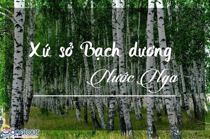 Xứ sở Bạch Dương là nước nào? Khám phá nước Nga huyền bí Kiến trúc Nga tại Quảng trường Đỏ