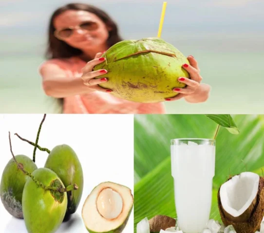 Nước dừa tươi ngon