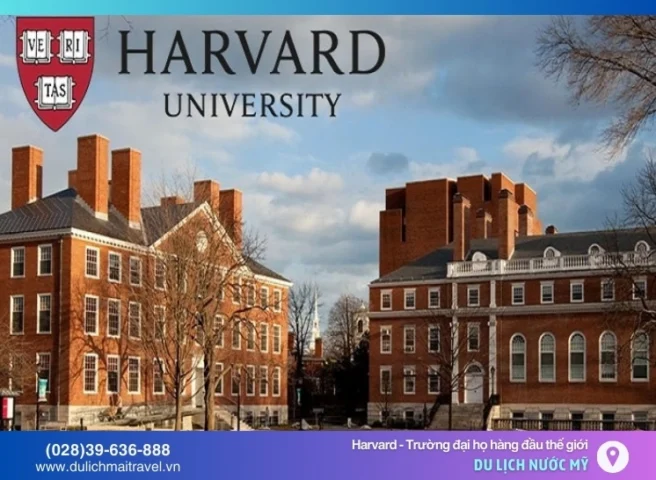 truong-ai-hoc-harvard-nam-o-bang-nao-cua-nuoc-my_810